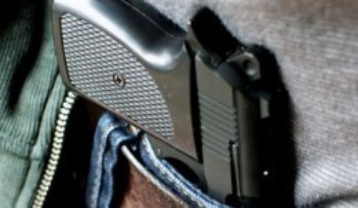 concealed gun