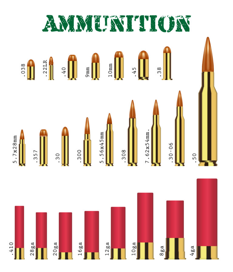 Dealing With the New Ammunition Law Online Purchases Are Alive and
