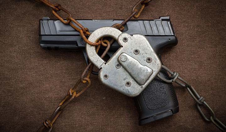 Gun Control Delzara