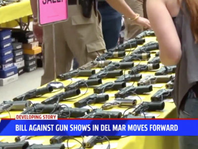 Bill Against Gun Show