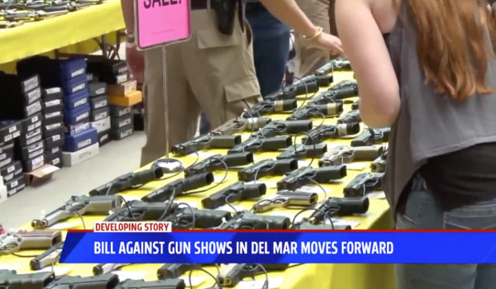Bill Against Gun Show