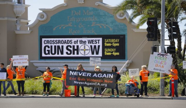Del Mar Gun Show Protest
