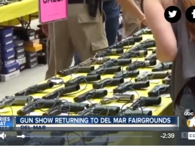 10 News Gun Show