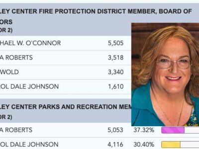 Gina-Votes