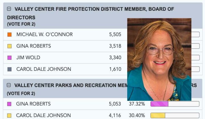 Gina-Votes
