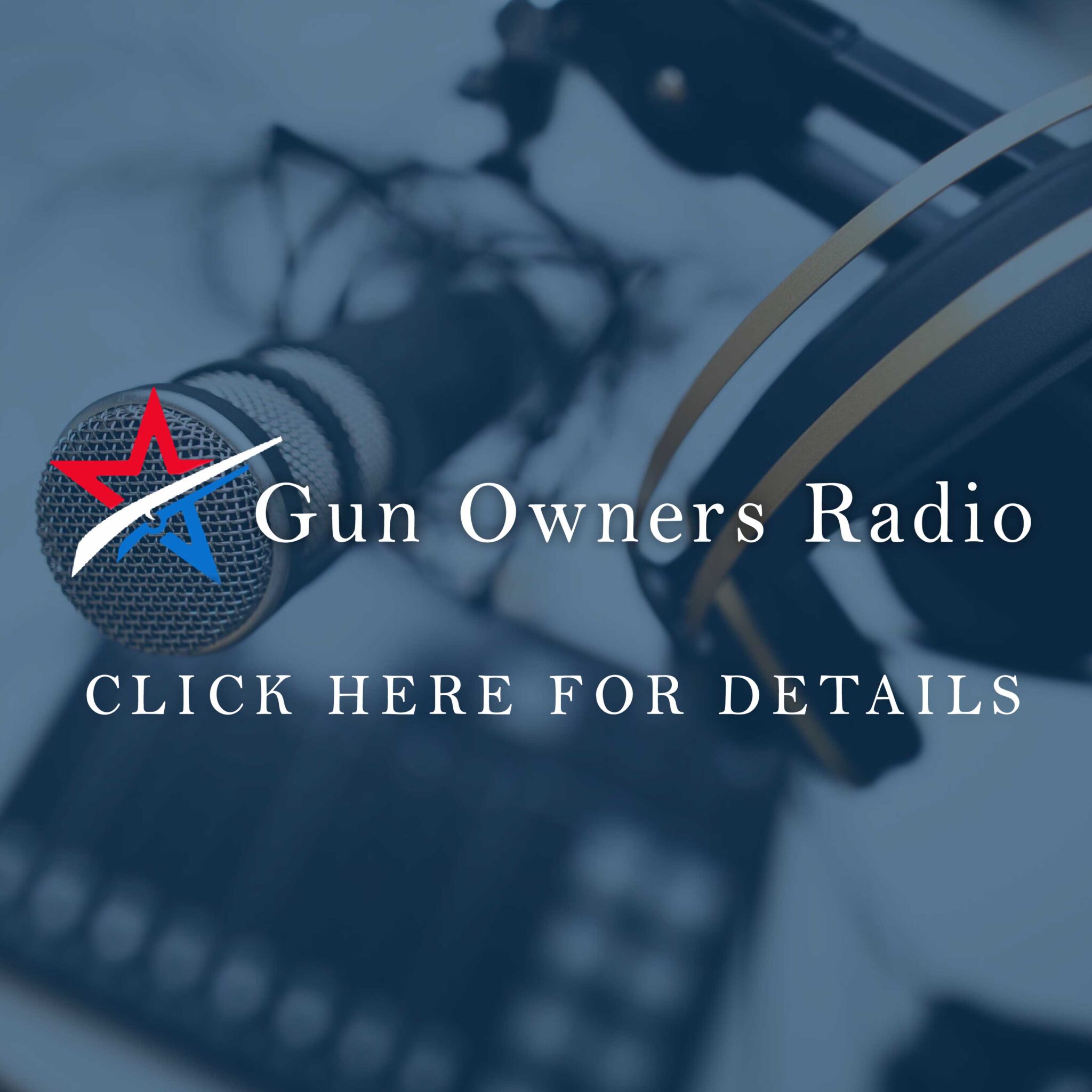 San Diego Gun Rights | San Diego County Gun Owners (SDCGO)