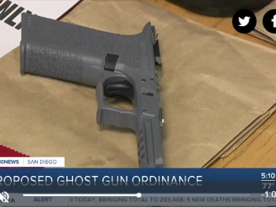 10 News ghost gun