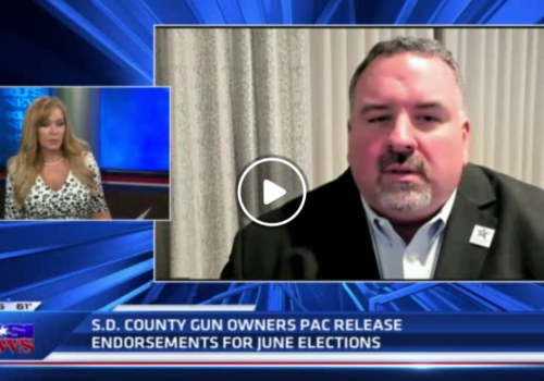 KUSI: Michael Schwartz talks on the San Diego County Gun Owners candidate endorsement
